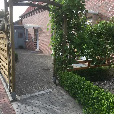 Bruni I Oldenburg